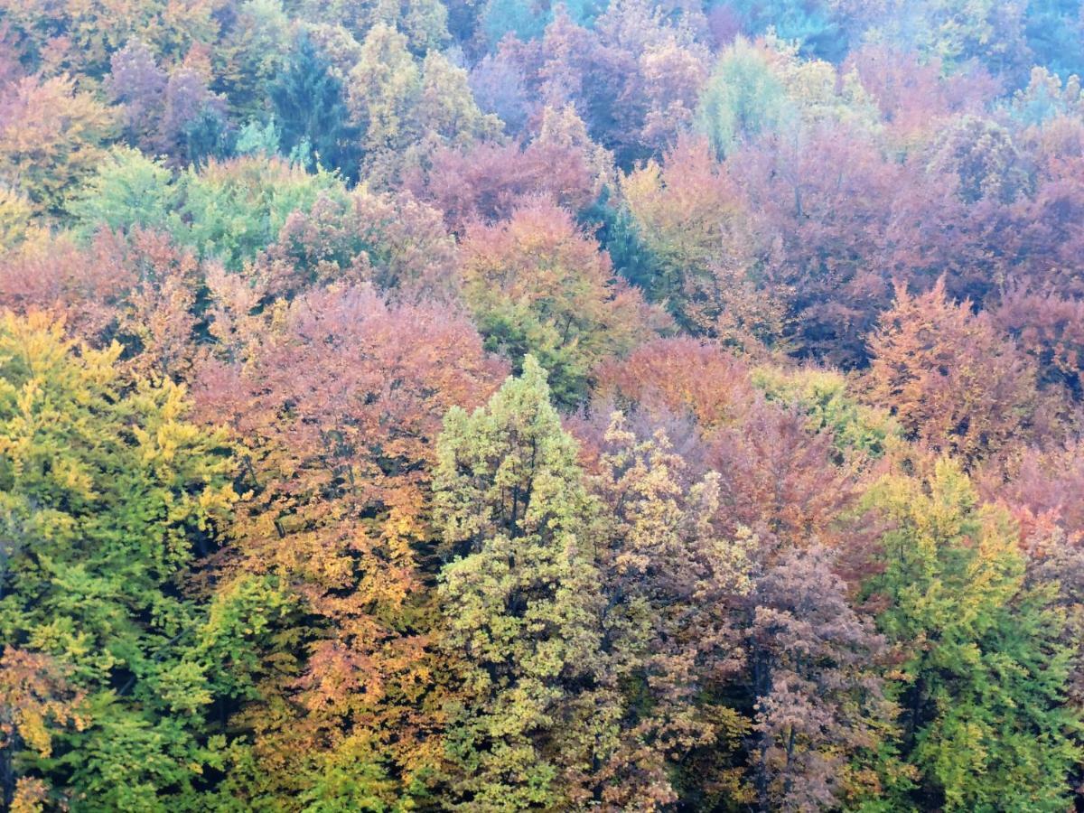Gaestezimmer Klopfer Sankt Johann im Saggautal Esterno foto